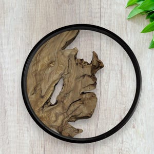 Round Live Edge Wood , Olive Wood Pieces, Olive Wood for DIY, Natural Olive Wood , Olive Wood for Resin, Wood for Art, Olive Wood Slabs