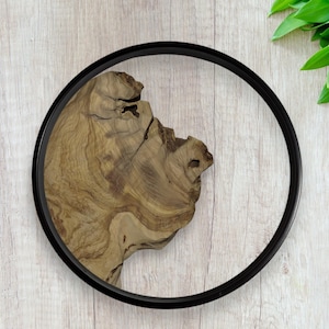 Round Live Edge Wood , Olive Wood Pieces, Olive Wood for DIY, Natural Olive Wood , Olive Wood for Resin, Wood for Art, Olive Wood Slabs