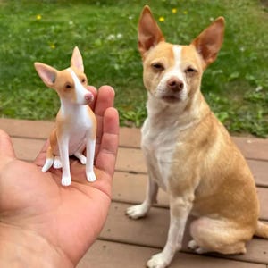 Personalized custom Dog wedding caketopper,Pets Birthday,cat caketopper Miniature, Anniversary pet,pets topper,christmas topper souvenir