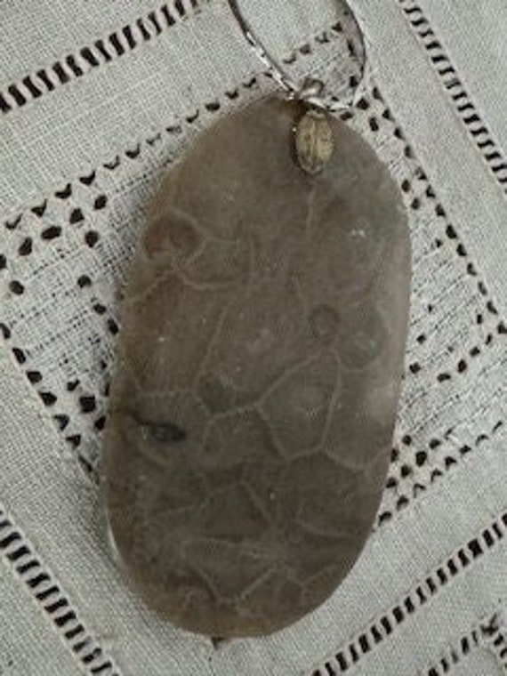 Petoskey Stone Pendant with Chain Necklace