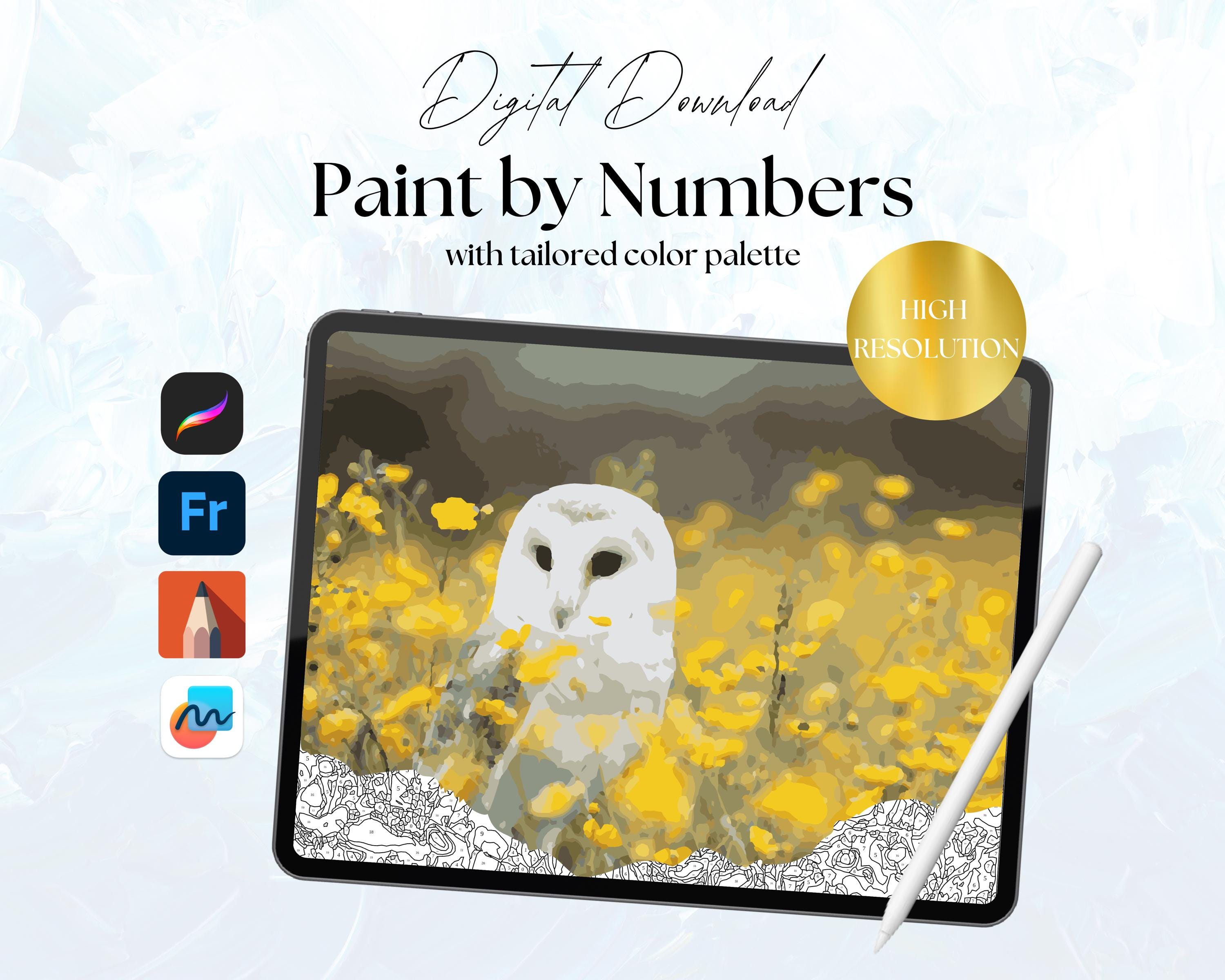 White Owl and Buttercups Digital Paint By Number Kit for Adults - Print or Coloring Apps - Procreate