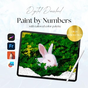 May include: Digital download of a paint by numbers image featuring a white rabbit in a field of green grass. The image is high resolution and can be used with digital art programs like Procreate, Photoshop, and Illustrator.