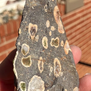 Peut inclure: Échantillon de roche gris foncé avec diverses inclusions claires de forme ovale. Certaines inclusions ont une bordure beige ou bronzée, tandis que d'autres ont un centre vert ou blanc. La roche est tenue dans une main.