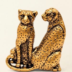 6 pomos de tigre y tigresa para cajones, estilo jungla, para armarios, tocadores, alacenas, estilo vintage bohemio.