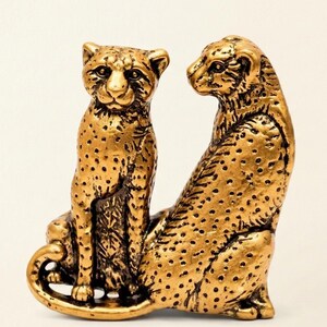 6X Tiger & Tigress Drawer Knobs Jungle Theme Cabinet, Dresser, Wardrobes, Cupboards Pulls vintage, Boho