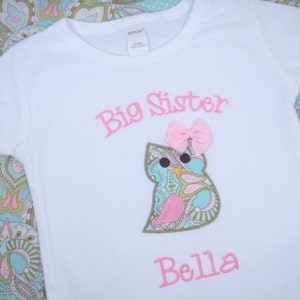 next level 6210 storm