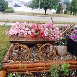 May include: A wooden wagon planter filled with pink and red petunias. The wagon has large wooden wheels and is set in a garden bed with a wooden border. The background shows a residential street and houses.
