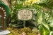 Personalized  Fairy Garden Sign 