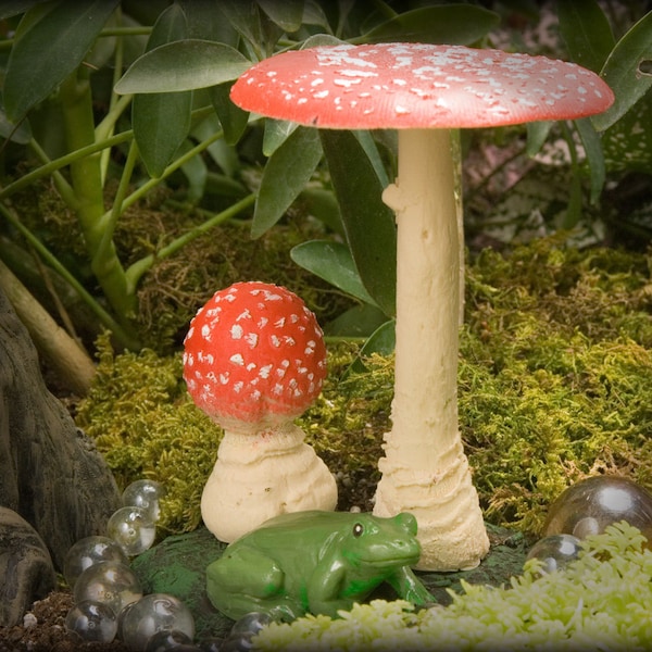 Mushrooms and frog - The Fairies Friend