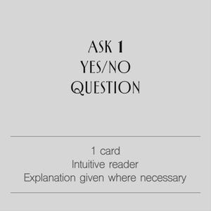Könnte beinhalten: Hellgraue Grafik mit schwarzem Text. Der Text lautet "ASK 1 YES/NO QUESTION". Darunter steht "1 Karte, Intuitive/r Leser/in, Erklärung bei Bedarf."