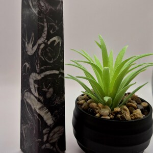 Puede incluir: Un obelisco alto de cristal con un patrón en blanco y negro junto a una pequeña suculenta en maceta. El cristal tiene una parte superior puntiaguda y un patrón arremolinado único. Una moneda está en primer plano.