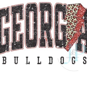 Georgia Bulldogs Doormat | 18x30 Indoor Outdoor Rug | UGA Team Spirit Entryway Mat | Personalized Family Name | College Football Fan Gift Design 5