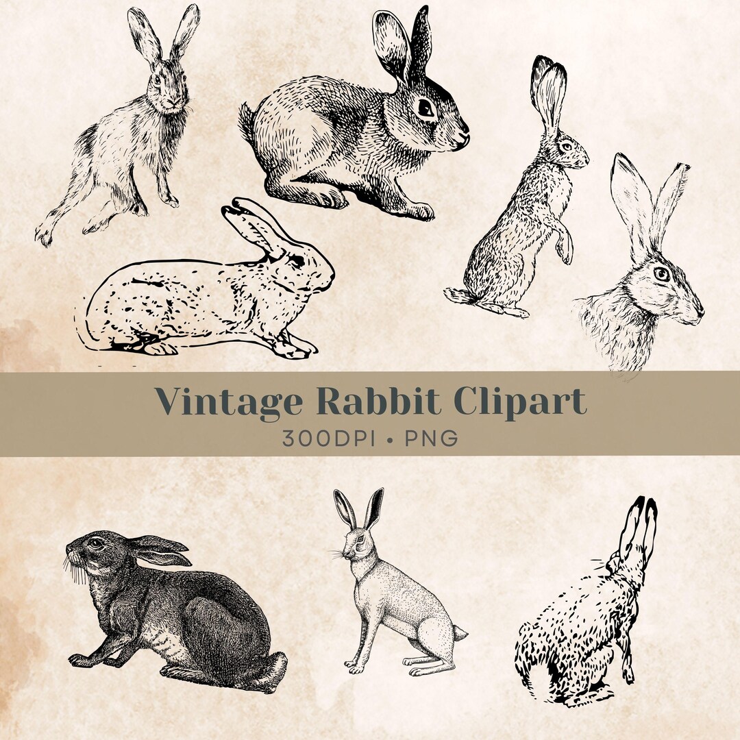 Vintage Bunny Clipart Printable Clip Art Digital Download, Retro Line ...