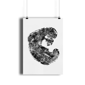 Stampa artistica Tree Ring - Stampa artistica da parete con natura stampata a mano. A3 - 29,7 x 42 cm / 11,7 x 16,5" Stampa di quercia in bianco e nero da appendere alla parete. Regalo per la mamma