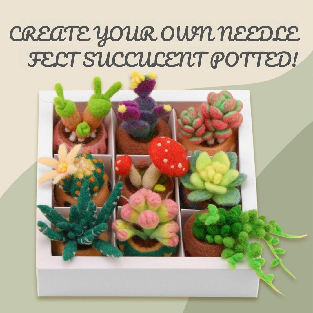 Hancool Needle Felting Kit Wool Felt Succulent Plants Artificial Cactus With Pots Full Range Supplies 8 In 1 DIY Set Easy For Beginners