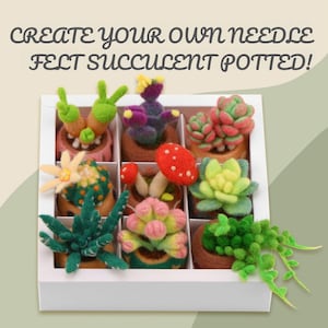 May include: A white box containing nine needle-felted succulent plants in small pots. The succulents are various colours, including green, pink, and yellow, with a red mushroom and the text "CREATE YOUR OWN NEEDLE FELT SUCCULENT POTTED!"