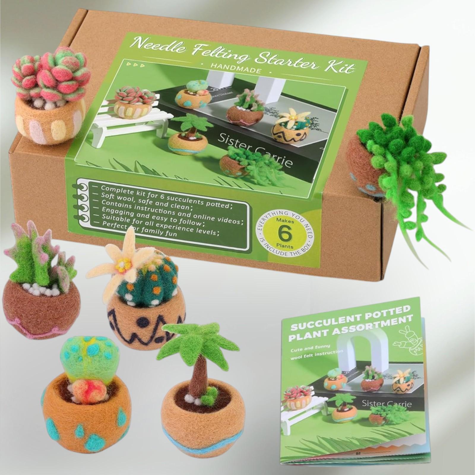 Needle Felting Kit: Miniature Cactus & Succulent Plants - Etsy