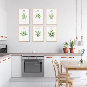 Kitchen Herb Botanical Wall Art Set of 6 | Minimalist Herbal Print | Culinary Herbs | Digital Download | Farmhouse Kitchen Decor