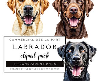Labrador Portrait Clipart Pack, Clipart Bundle for Commercial use - Black Lab - Golden Lab - Chocolate Lab - Dog Clipart Transparent PNGs