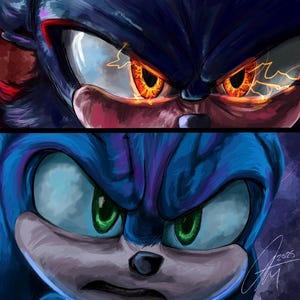 Sonic vs. Shadow