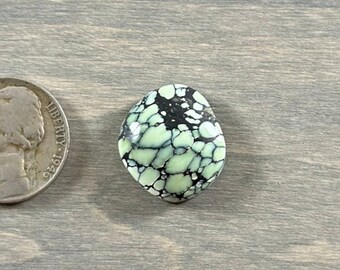 New Lander Variscite Cabochon noZ