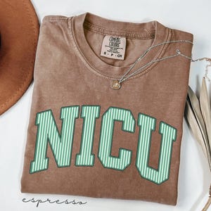 May include: A brown short-sleeve t-shirt with a crew neckline and a Comfort Colors brand label. The shirt features the text NICU in large, green and white vertical striped block letters. A thin silver chain necklace with a small round pendant rests on top.