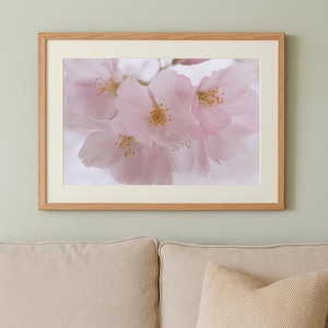 Washington DC Cherry Blossom Matte Horizontal Poster, Close Up Photo Art Print, Home Decor Wall Art, Botanical