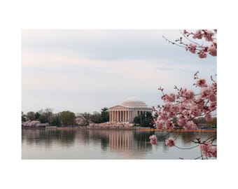 May include: A photograph of the Jefferson Memorial in Washington, D.C., reflected in the water. Pink cherry blossom branches are in the foreground. The memorial's neoclassical architecture is visible against a cloudy sky.