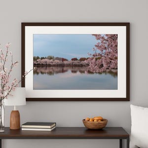 Washington DC Cherry Blossom Matte Horizontal Poster, Close Up Photo Art Print, Home Decor Wall Art, Botanical