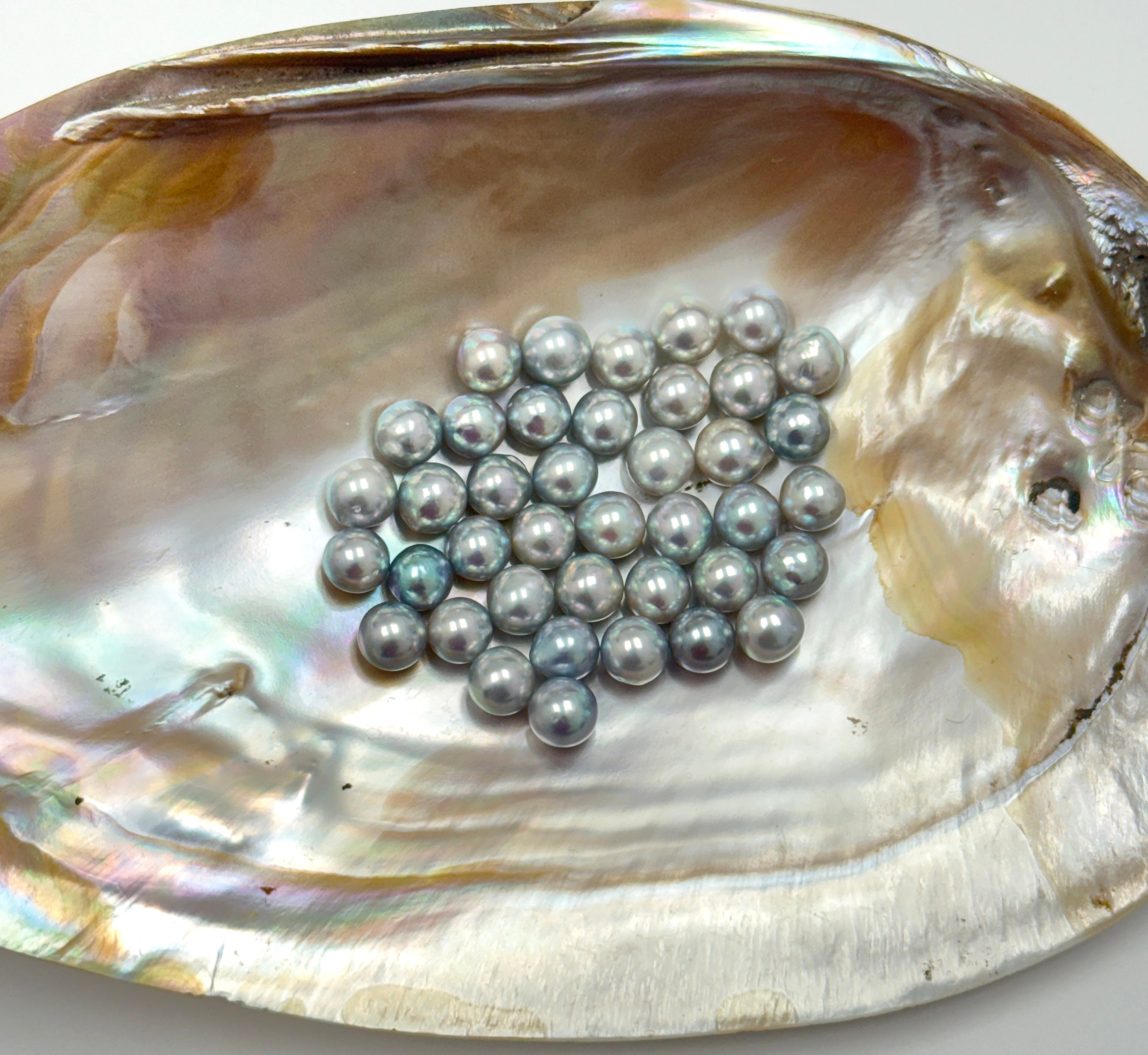 AAA Natural Blue and Silver color Undrilled Akoya Round loose pearl 6-7mm.