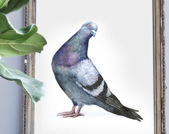 Sassy Pigeon Watercolor Art Print, Watercolor Bird Print