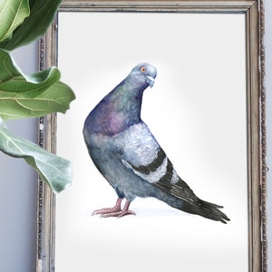 Sassy Pigeon Watercolor Art Print, Watercolor Bird Print