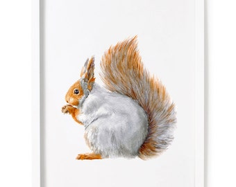 Squirrel Print of Watercolor Painting, Animal Giclee Print