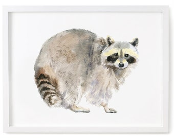 Watercolor Raccoon Print