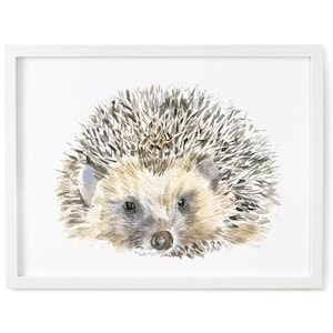 Hedgehog Art Print, Watercolour Animal Giclee Print