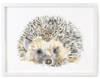 Hedgehog Art Print, Watercolour Animal Giclee Print