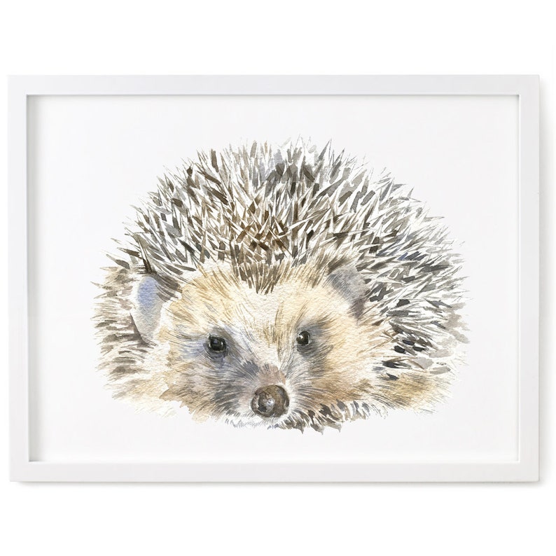 Hedgehog Art Print, Watercolour Animal Giclee Print image 1