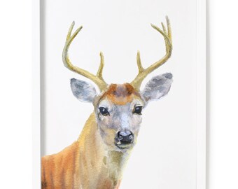 Watercolor Stag Deer Print, Animal Giclee Print