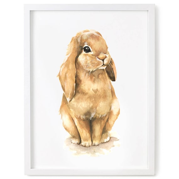 Brown Rabbit Frame The Brown Bunny Poster