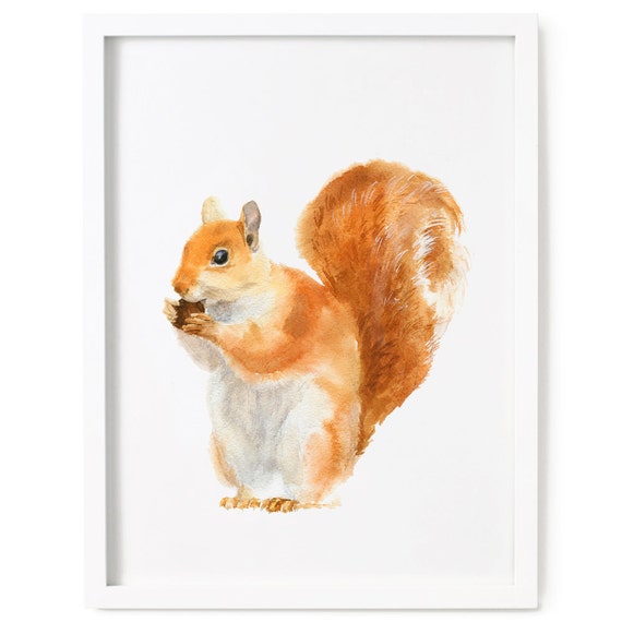 Red Squirrel Print of Watercolor Painting Animal Giclee Print - Etsy Red Squirrel Print of Watercolor Painting Animal Giclee Print - Etsy