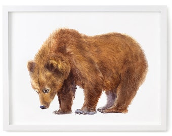 Bear Print of Watercolor Painting, Animal Giclee Print