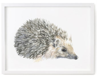 Watercolor Hedgehog Art Print