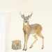 see more listings in the Woodland Wall Decals section