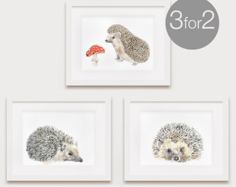 Watercolor Hedgehogs Prints Set, Giclee Fine Art -3 for the price of 2-