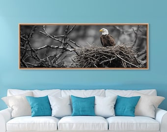 Impresión en lienzo de águila calva: fotografía rústica de naturaleza, arte mural panorámico
