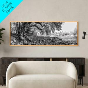 River Tree Roots, Tranquil Forest Landscape, Nature Wall Decor, Framed Canvas Print, Living Room Art, Black and White Earthy Style