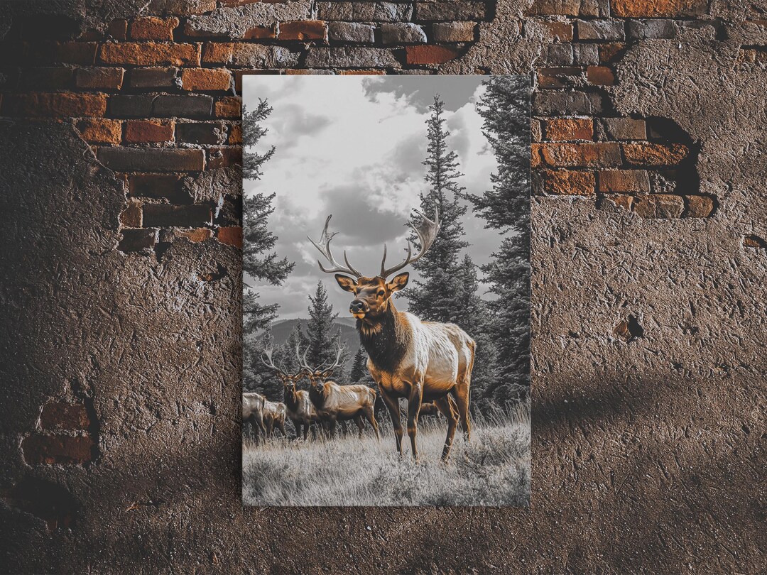 Elk and Deer Forest Canvas Print: Rustic Wildlife Wall Art - Etsy