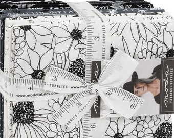 HEY YA'LL 20 Fat Quarters Moda fabric quilting sewing Alli K Designs cactus bluebonnets wildflowers Black White Grey floral quilt 11510AB