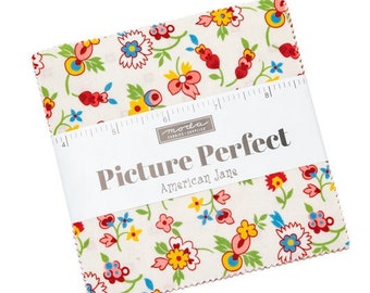 PICTURE PERFECT Charm Pack Moda Fabric American Jane Primary child shabby quilting calico sewing cottage garden retro farmhouse 21800PP