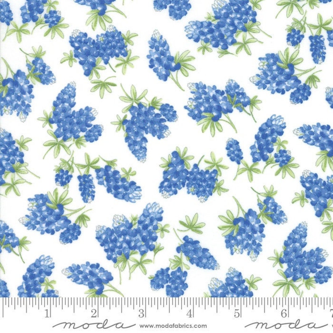 Moda Fabric TEXAS Shabby Quilting Sewing Quilters Etsy